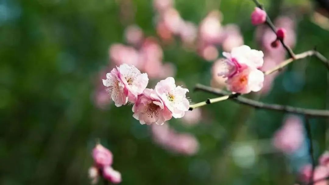 吃瓜群qq群免费爆料,让你天天追“人设剧”不掉队! 吃瓜群qq群免费爆料,让你天天追“人设剧”不掉队!